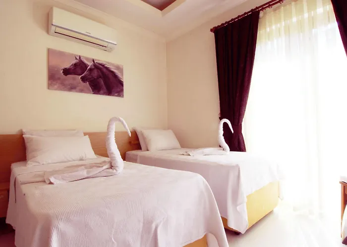 Lidya 3* 费特希耶