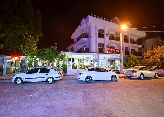 Ξενοδοχείο Lidya 3*