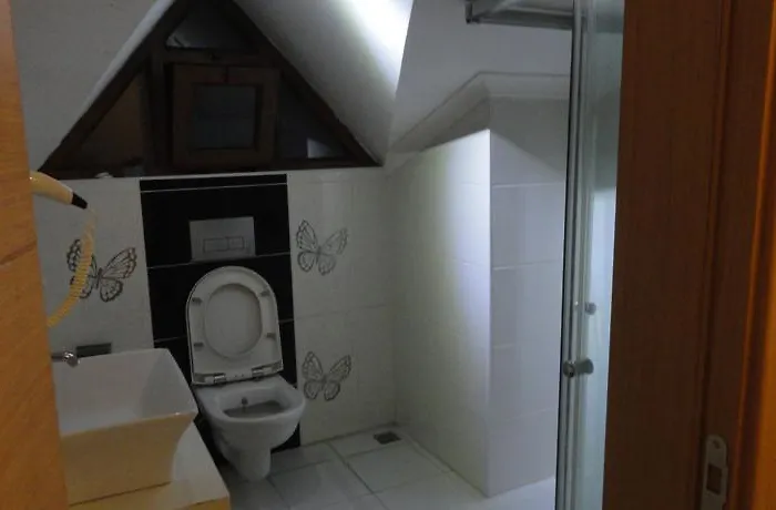 Lidya Φετιγιέ