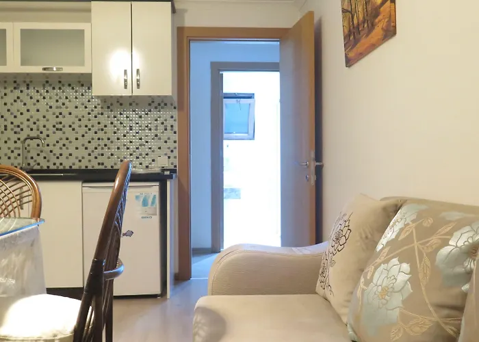 Hotel Lidya
